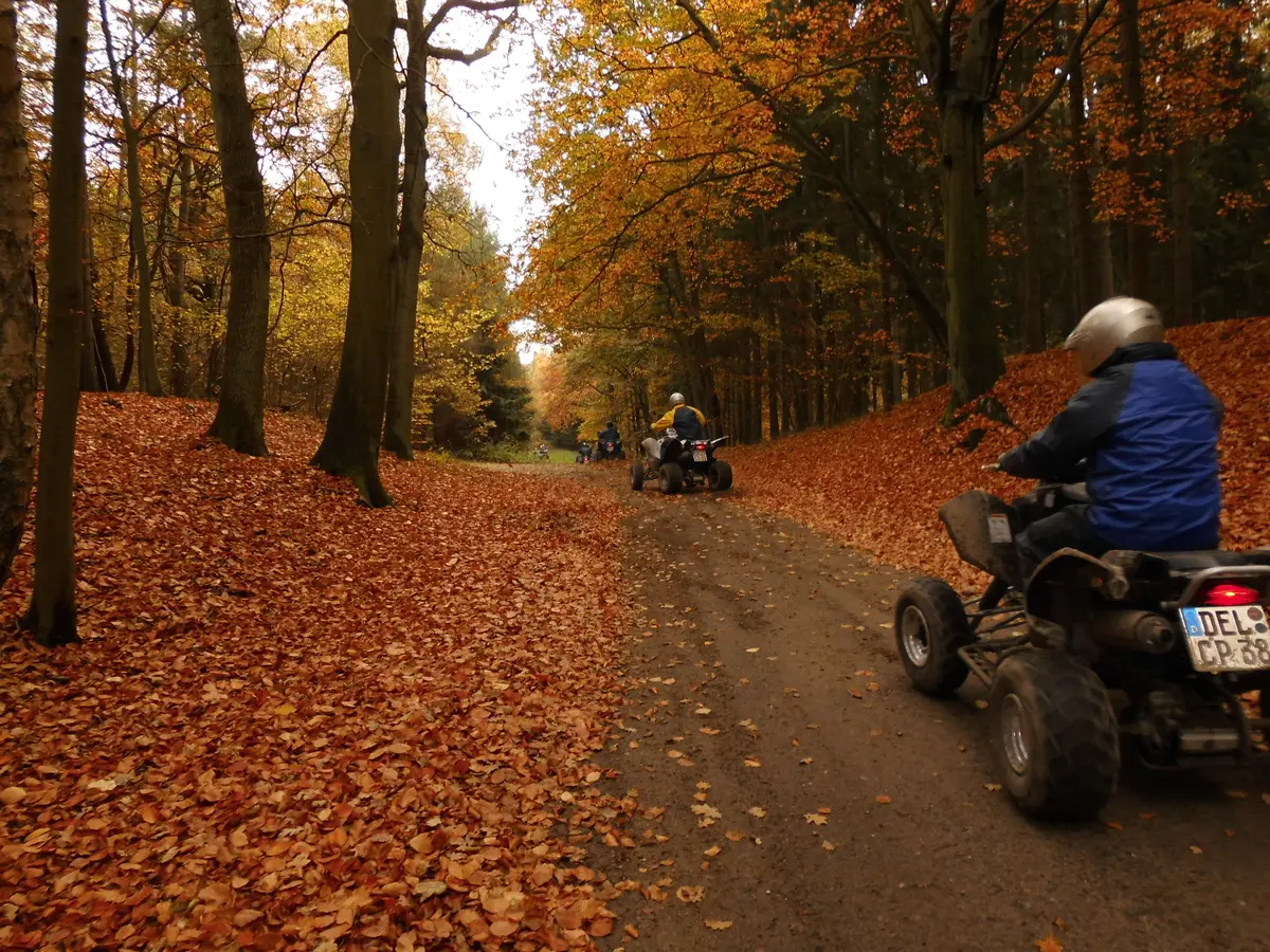 Quad-Tour durch den Wald